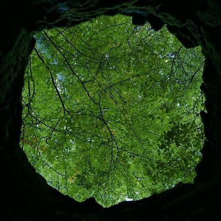Espaco Origem Sintra Bagian luar foto