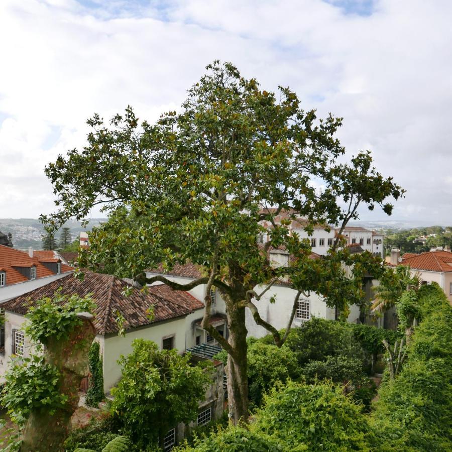 Espaco Origem Sintra Bagian luar foto