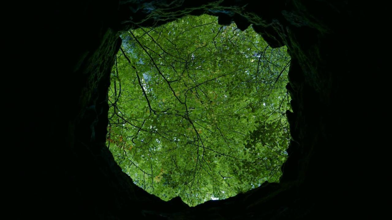 Espaco Origem Sintra Bagian luar foto