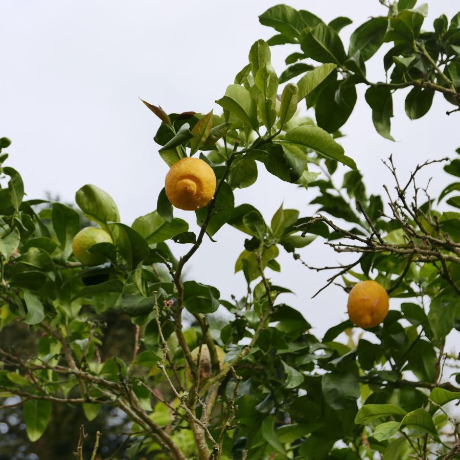 Espaco Origem Sintra Bagian luar foto